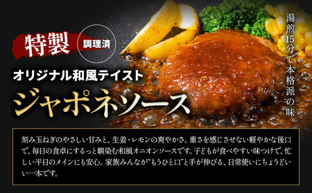 ハンバーグ 鉄板焼き 肉肉ハンバーグ ジャポネソース  20個 《30日以内に出荷予定(土日祝除く)》熊本県 国産 牛肉 豚肉 鶏肉 ハンバーグ 専門店監修 小分け ジャポネ 肉