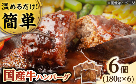 国産牛ハンバーグ 6個 栗東市 / 株式会社近江フーズ [BIBU003]