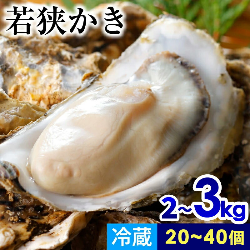 【ふるさと納税】 【先行予約/11月下旬より順次発送】【期間限定】若狭小浜ブランド 若狭かき（加熱用）2kg〜3kg（20〜40個入） ｜貝 カキ かき 酒の肴 鍋 牡蠣鍋 おつまみ バーベキュー 新鮮 牡蠣 冷蔵 【配送不可地域：北海道・沖縄・離島】 [BFAO010] [BFAO011]