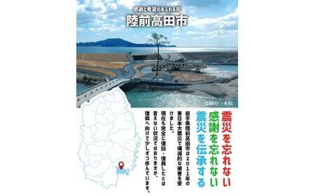 【返礼品なし】 岩手県陸前高田市への応援寄附金 1口 10,000,000円