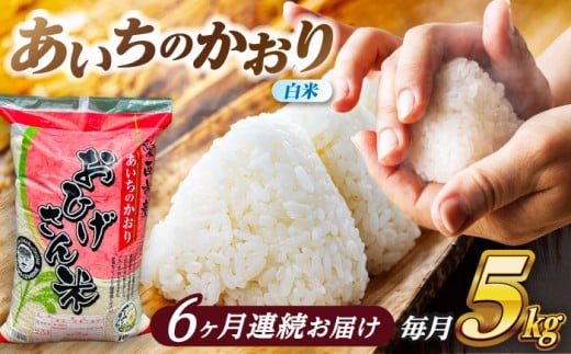 【6回定期便】 あいちのかおり 白米 5kg×6ヵ月 愛西市 / 脇野コンバイン [AECP005]