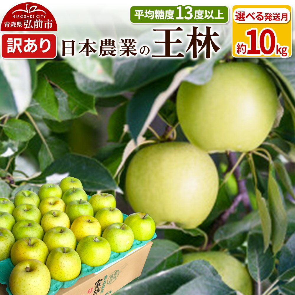 【ふるさと納税】りんご 平均糖度13度以上！ 王林 約10kg 訳あり【選べる発送月】青森 果物 フルーツ 林檎 リンゴ くだもの 不揃い 規格外