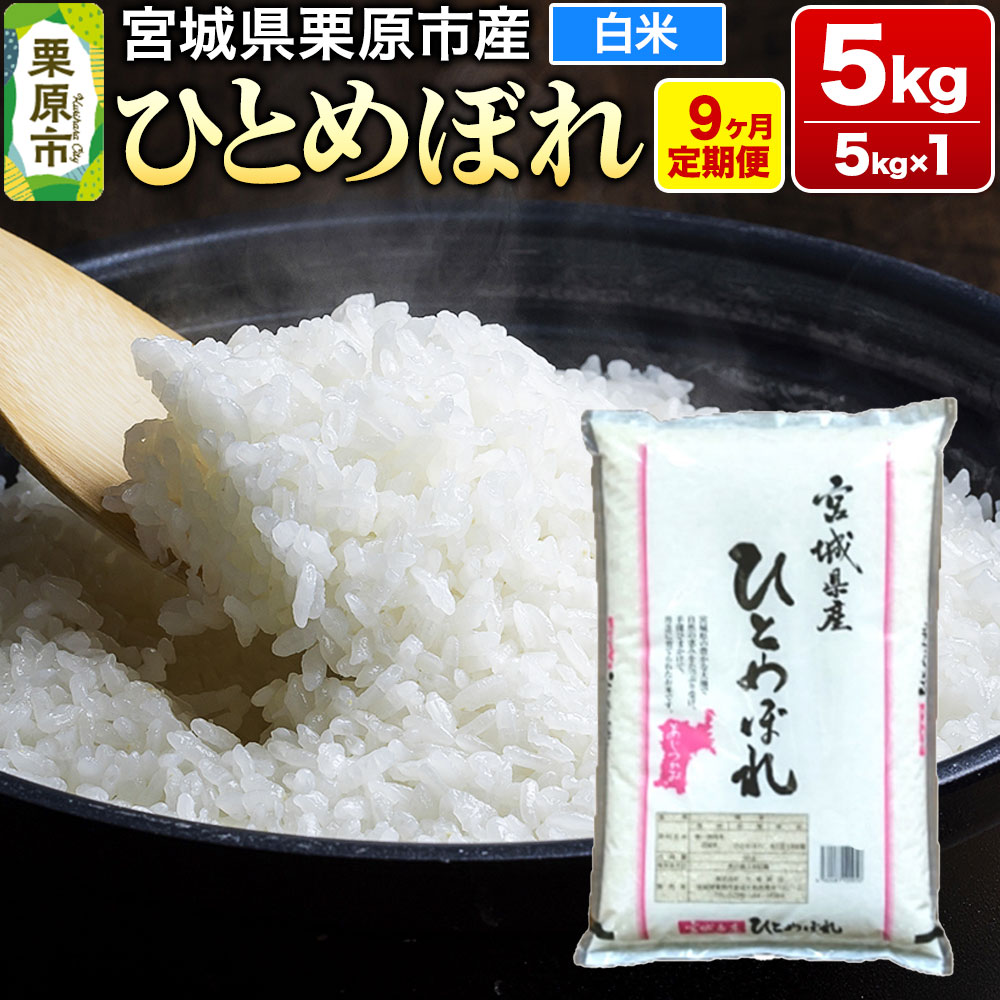 【ふるさと納税】《定期便9ヶ月》【令和6年産・白米】宮城県栗原産 ひとめぼれ 毎月5kg (5kg×1袋)×9ヶ月