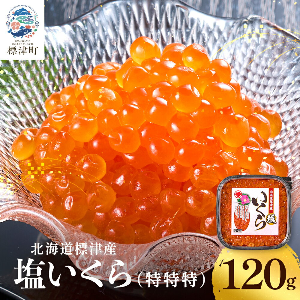 【ふるさと納税】 北海道産 塩いくら 120g パック 塩漬け いくら 塩イクラ 塩 国産 天然 人気 おすすめ いくら人気 さけ サケ 鮭 鮭いくら 鮭イクラ いくら北海道 魚卵 ikura 冷凍 冷凍いくら【配送不可地域：離島】