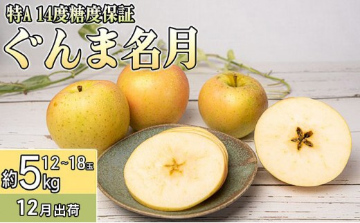 12月 特A ぐんま名月約5kg（12～18個）14度糖度保証【青森りんご・ゆうきアップル・12月】 果物類 フルーツ 果物