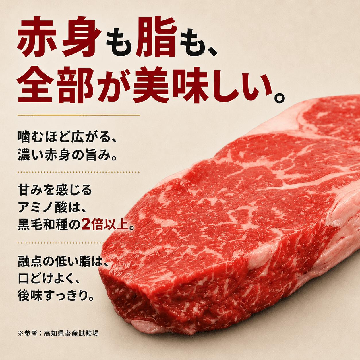 土佐 あかうし 赤牛 赤身 スネ・ネック サイコロカット カレー・シチュー用 600g | 和牛 あか牛 アカウシ 牛肉 希少 ブランド 国産 プレゼント ギフト 冷凍 贈答 高知県 南国市