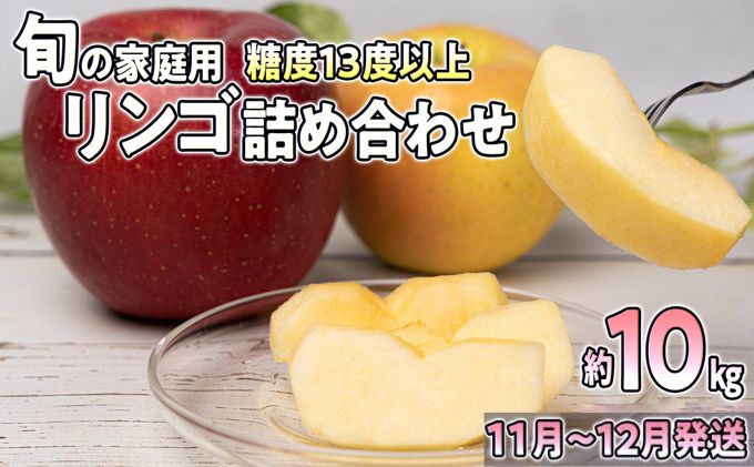 【11月～12月発送】旬の家庭用リンゴ詰め合わせ 約10kg糖度13度以上【弘前市産・青森りんご】