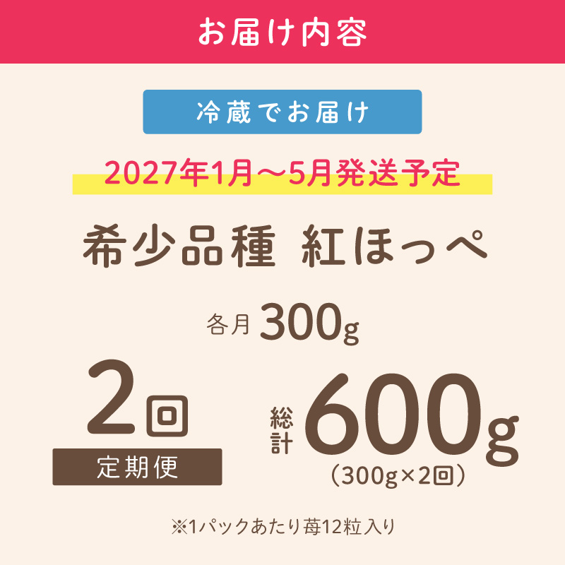 【2027年1月～5月発送予定】【いちご本来の甘酸っぱさを味わう】定番人気 紅ほっぺ 約300g（約300g×1パック×1箱）2ヶ月定期便 ※お届け不可地域あり【121D-009-2027】