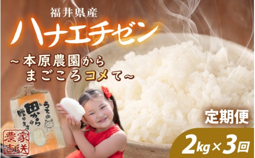 【先行予約】【令和8年産・新米】定期便 3ヶ月連続お届け ハナエチゼン 2kg (1袋) × 3回 計6kg 【白米】 ～本原農園からまごころコメて～ 【2026年9月上旬以降順次発送予定】【お米 白