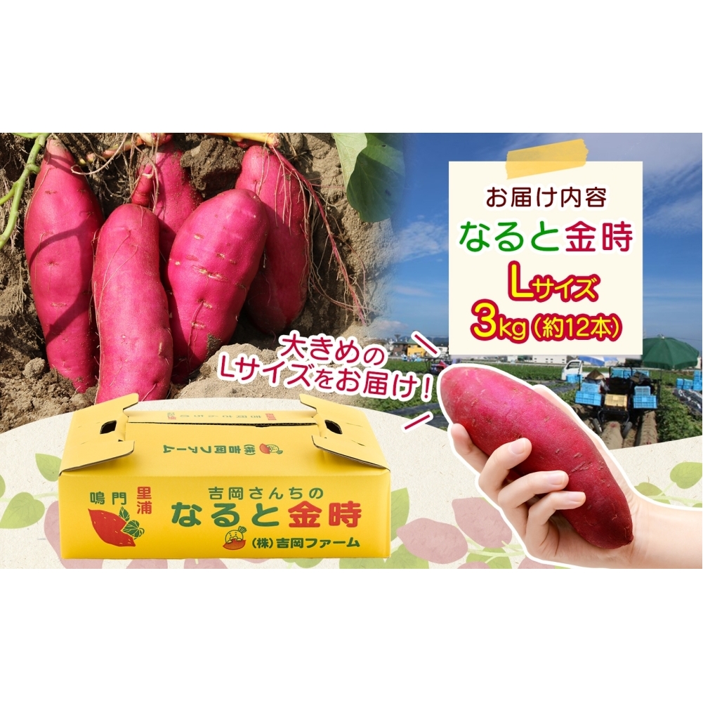 「吉岡さんちのなると金時」 Lサイズ 3kg_イメージ4