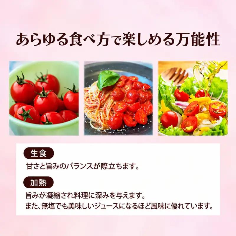 訳あり プレミアムトマト 2.5kg Mr.浅野のけっさく2 トマト