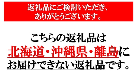 長野県産 サンふじ りんご 家庭用 約10kg （28～50玉）〈2026年12月出荷分／北海道・沖縄県・離島は配送不可〉信州 果物 旬彩 先行予約 季節限定【 当園にて愛情たっぷりに育てたりんご 長