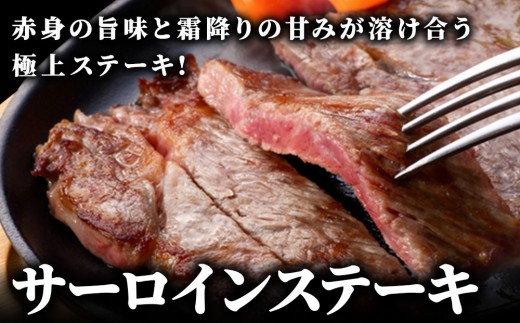 【博多和牛】サーロイン ステーキ 200g×4枚｜牛肉 久田精肉店 黒毛和牛 ステーキ 冷凍【HD027】