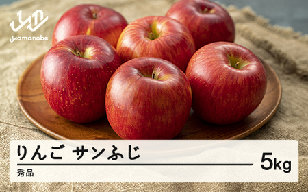 《先行予約》2025年 山形県産 サンふじ りんご 5kg（15玉程度） 秀品  ※沖縄・離島への配送不可 sa-risfs5-b