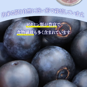 【ふるさと納税】＜ブルーベリー 冷凍　1kg＞ フルーツ くだもの 高知県 佐川町 果物 島崎商事【冷凍】冷凍ブルーベリー 常備果物＜4～6ヶ月程度で発送＞