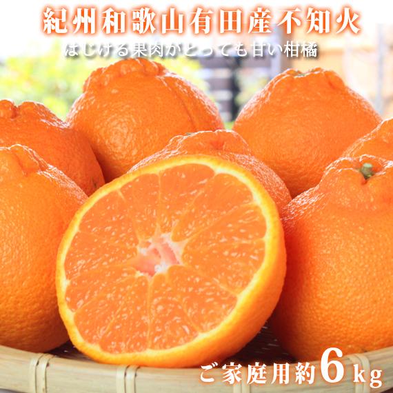 ［ご家庭用訳あり］紀州有田産不知火(しらぬひ) 約6kg［2027年2月中旬以降発送］［先行予約］［UT136］XF91170