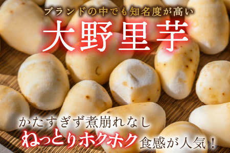 簡単手間なし！冷凍のまま調理！大野の里芋の洗い子 1kg × 2袋 計2kg (冷凍) [A-001015]