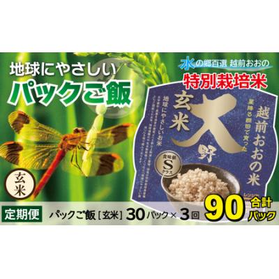 ふるさと納税 大野市 【3ヶ月定期便】地球にやさしいパックご飯 30食入り【玄米】× 3回　計90食　