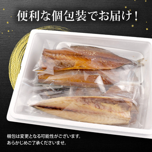 サバ 干物 10枚 個包装 国産 無添加 小分け 醤油 干し 手作り 天日干し ひもの ギフト 静岡 沼津