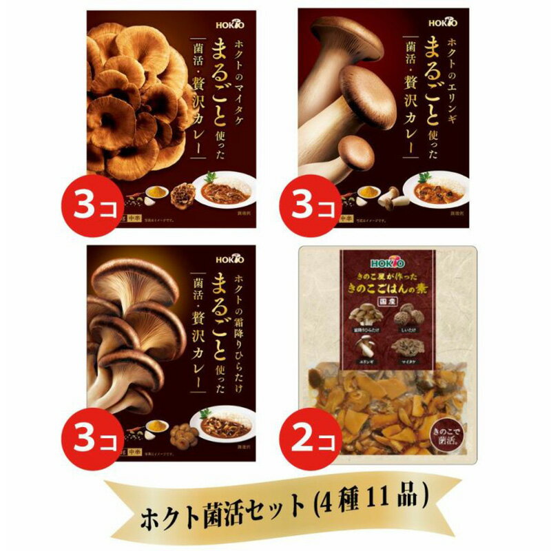 【ふるさと納税】ホクト菌活カレー きのこごはんセット（4種11品） 　お届け：寄附入金確認後、1ヶ月以内に発送いたします