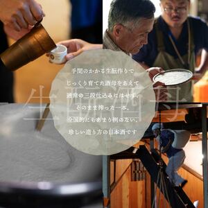 日本酒 飲み比べセット3種 日本酒