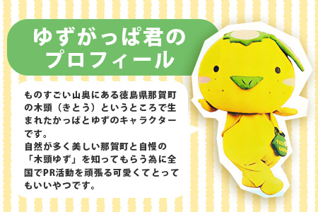 ゆずがっぱポリキーホルダー 1個【徳島県 那賀町 キーホルダー アクキー 木頭ゆず ゆずがっぱ かっぱ カッパ 河童 グッズ かわいい ゆるかわ アクセサリー プレゼント ギフト 子供 プレゼント】O