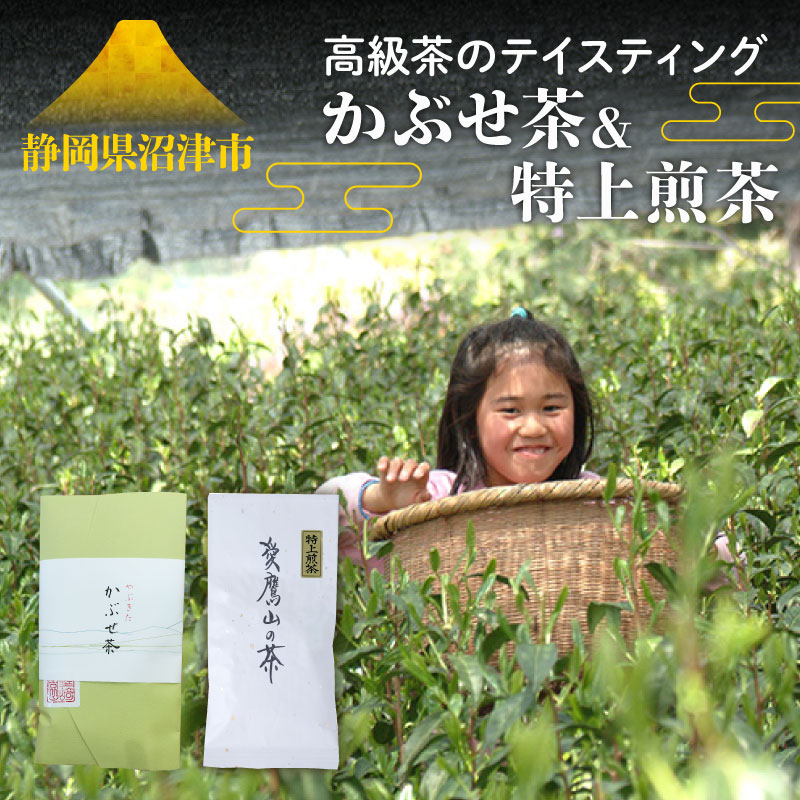 高級茶 テイスティング かぶせ茶 お茶 静岡 沼津 煎茶 茶葉 日本茶 ギフト プレゼント 贈答品 お土産 静岡茶 銘茶 セット 茶 飲み比べ
