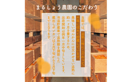 ＜先行予約＞ぽんかん【グランクリュなべしご】 5㎏　MS3 [MS-03] 【まるしょう農園】