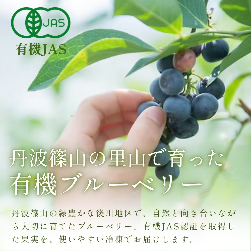有機JAS〈無農薬〉ブルーベリー500g 冷凍 オーガニック フルーツ 果物 国産 兵庫県丹波篠山市 ベリー類 デザート