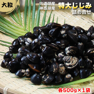 厳選 冷凍 しじみ 1kg (各500g×1袋) 宍道湖産 神西湖産 食べ比べセット）| しじみ