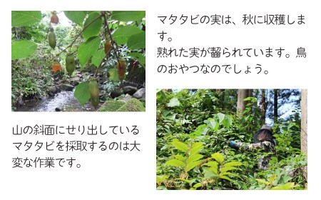 猫のおもちゃ またたびボール（またたびの実入り）