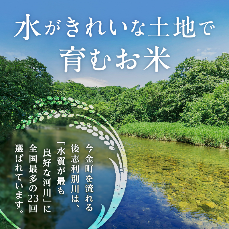 令和6年度産 今金産 ゆめぴりか 10kg(5kg×2袋) 北海道 今金町産 米 白米 米俵 F21W-430