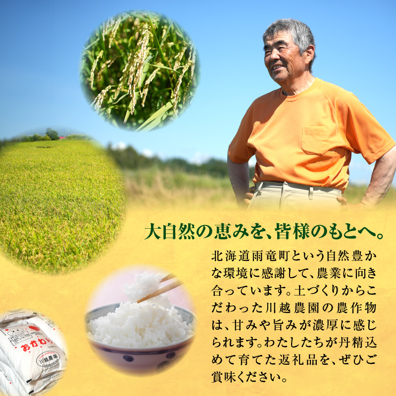 【定期便全4回】令和6年産 川越さんちの おぼろづき　10kg（5kg×2袋）毎月1回お届け 雨竜産 精米 定期便 10kg お米 お取り寄せ 北海道 雨竜町