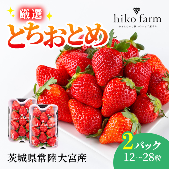 【期間限定】ごほうびいちご（厳選とちおとめ）2パック入り（12～28粒）黒パッケージ いちご イチゴ 苺 とちおとめ フルーツ 果物 くだもの デザート 期間限定 【hiko farm（ヒコファーム）】【ho1571】