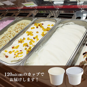 ジェラート イタリアンジェラート しぼりたて牛乳 8個 アイス ジェラート アイス ジェラート アイス ジェラート