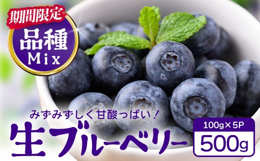 
                  【期間限定】南大隅産 (生)ブルーベリー  品種ミックス詰め合わせ  ≪100g×5P≫ BO-1 ｜ ブルーベリー 生 大粒 小分け 旬 産地直送 果物 フルーツ くだもの 新鮮 農園 冷蔵 鹿児島県 南大隅町 本土最南端からお届けします！
                