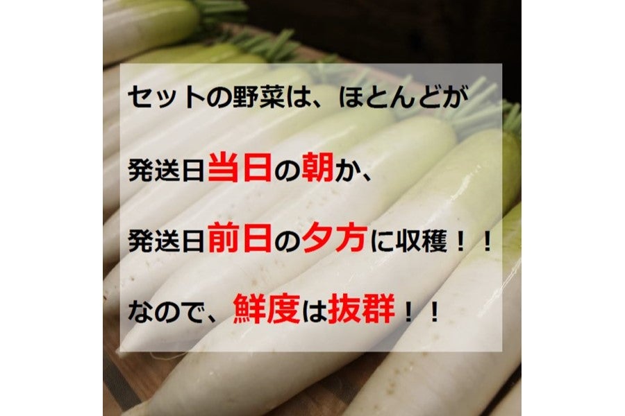 たじまの野菜レスキューおすすめBOX（11品以上）