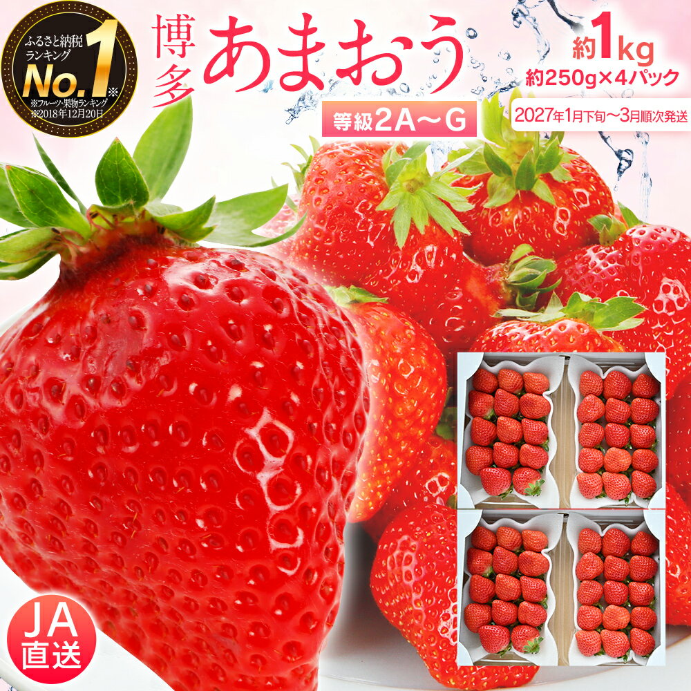 【ふるさと納税】先行予約 あまおう 合計約1kg 約250g×4パック 楽天ランキング1位獲得 福岡県産 九州 イチゴ いちご 苺 果物 くだもの フルーツ 送料無料【2027年1月下旬～3月順次発送予定】