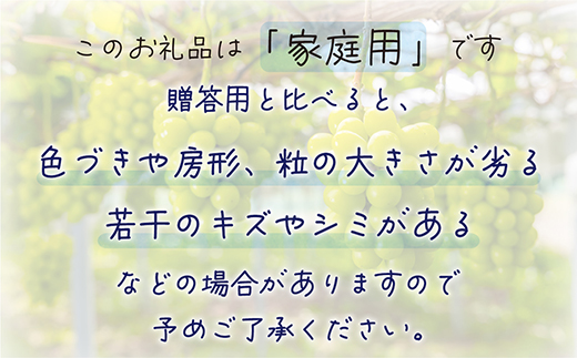 【2026年先行受付】岡山　花笑み農園の『シャインマスカット』家庭用　約2kg(3～5房)S-2家【配送不可地域：離島】