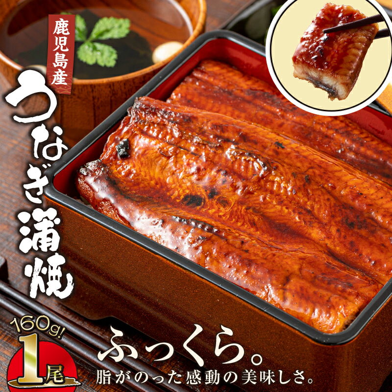 【ふるさと納税】【土用の丑の日特集】鹿児島産うなぎ160g×1尾 国産ウナギ 冷凍 真空パック たれ付 山椒付き 鰻かば焼き うな重 ひつまぶし【財宝】