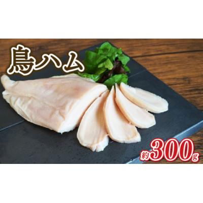 ふるさと納税 木津川市 鳥ハム 300g
