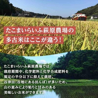 ふるさと納税 多古町 新米【令和7年産】たこまいらいふ萩原農場の多古米コシヒカリ(精米)5kg・(玄米)5kg セット |  | 03