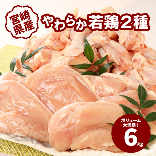 ＜宮崎県産鶏 やわらか若鶏2種6kg＞ K16_0027_2