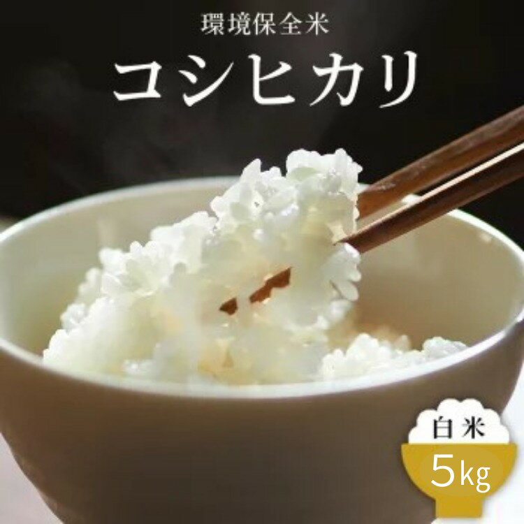 【ふるさと納税】令和7年産 環境保全米 コシヒカリ白米5kg ※2025年10月上旬～2026年3月下旬頃に順次発送予定 ※北海道・沖縄・離島への配送不可