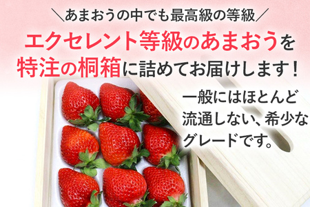 プレミアムあまおうEX (ティッシュボックス用特別仕様の桐箱入り）いちご フルーツ 果物 あまおう 約400g×1パック 福岡 苺 イチゴ 桐箱 【発送時期2025年2月上旬～2025年4月上旬】