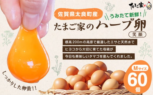 ND-3 たまご家のハーブ卵（笑顔）60個