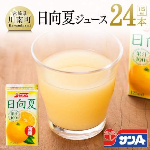 サンA 日向夏ジュース ( 果汁100% ) 125ml×24本セット 【 飲料類 ソフトドリンク 果汁飲料 ご当地飲料 】 宮崎県川南町