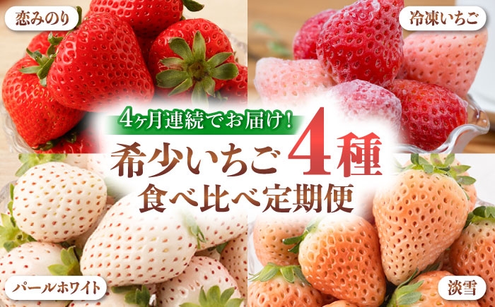 
                  【全4回定期便】希少いちご（恋みのり・パールホワイト・淡雪・冷凍いちご）食べ比べ定期便 / いちご イチゴ 苺 果物 フルーツ 定期便 / 佐賀県ふるさと納税 [41AAZZ003]
                