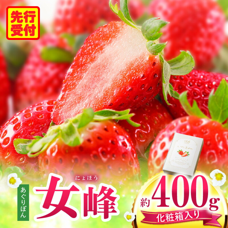 【ふるさと納税】あぐりぼん　いちご「女峰」【贈答用】いとしきみ化粧箱　約400g（15〜18粒） いちご 果物 フルーツ デザート ストロベリー 果肉 スイーツ 甘い 国産 贈り物 贈答 プレゼント グルメ 人気 おすすめ 季節 旬 旬の果物 香川県 三木町 送料無料