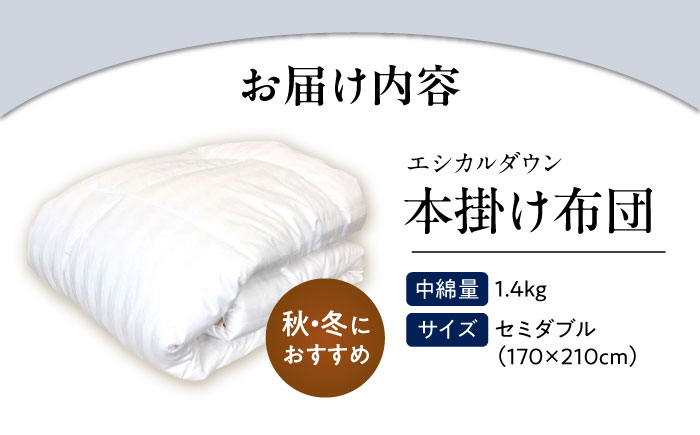 洗える 人工羽毛布団 掛け布団 セミダブル エントリーモデル 広島県福山市/イシケン株式会社 羽毛布団 羽毛ふとん 掛けふとん 日本製 掛布団 秋 冬 寝具 アレルギー対策 [BAAK002]